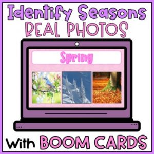 Four Seasons of the Year Identify Real Photos BOOM CARDS